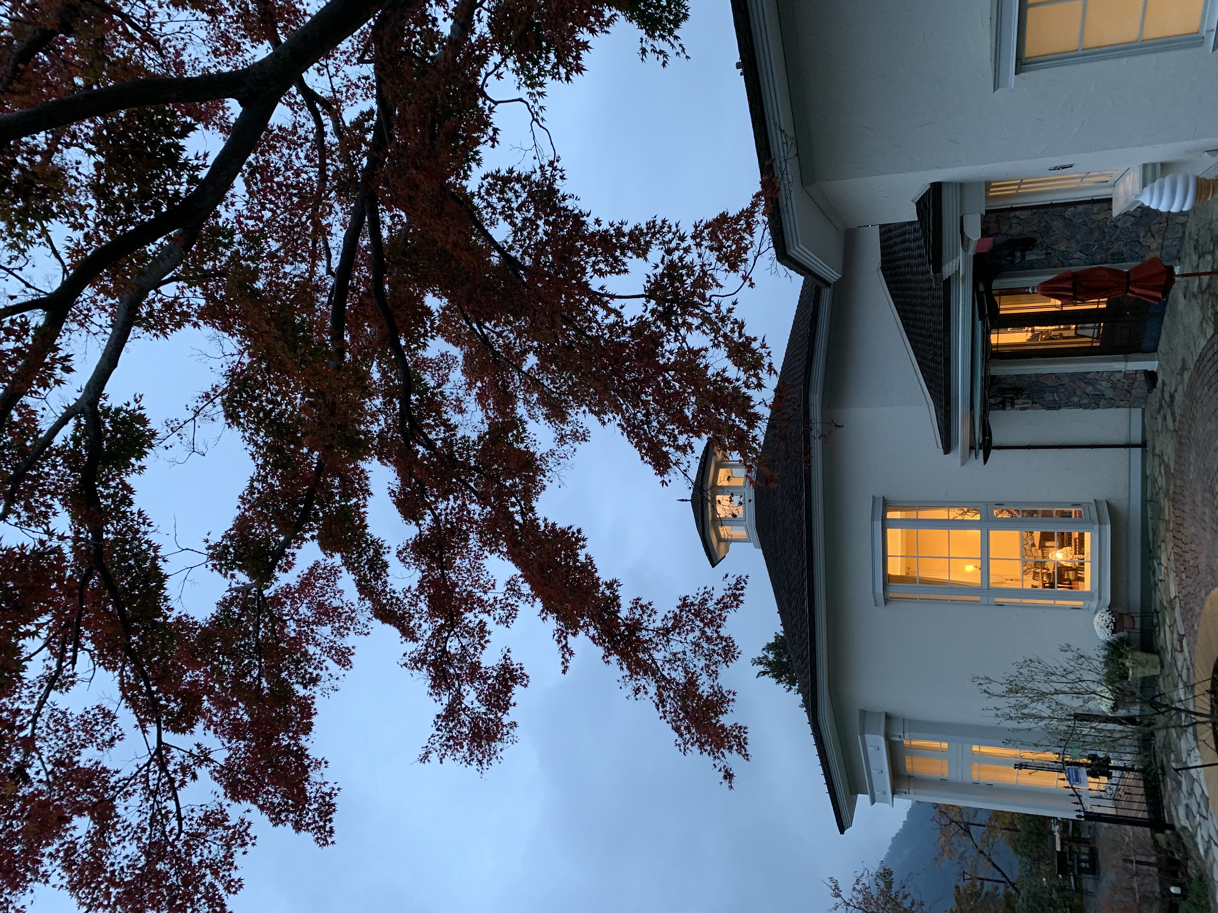 去箱根泡温泉（一）