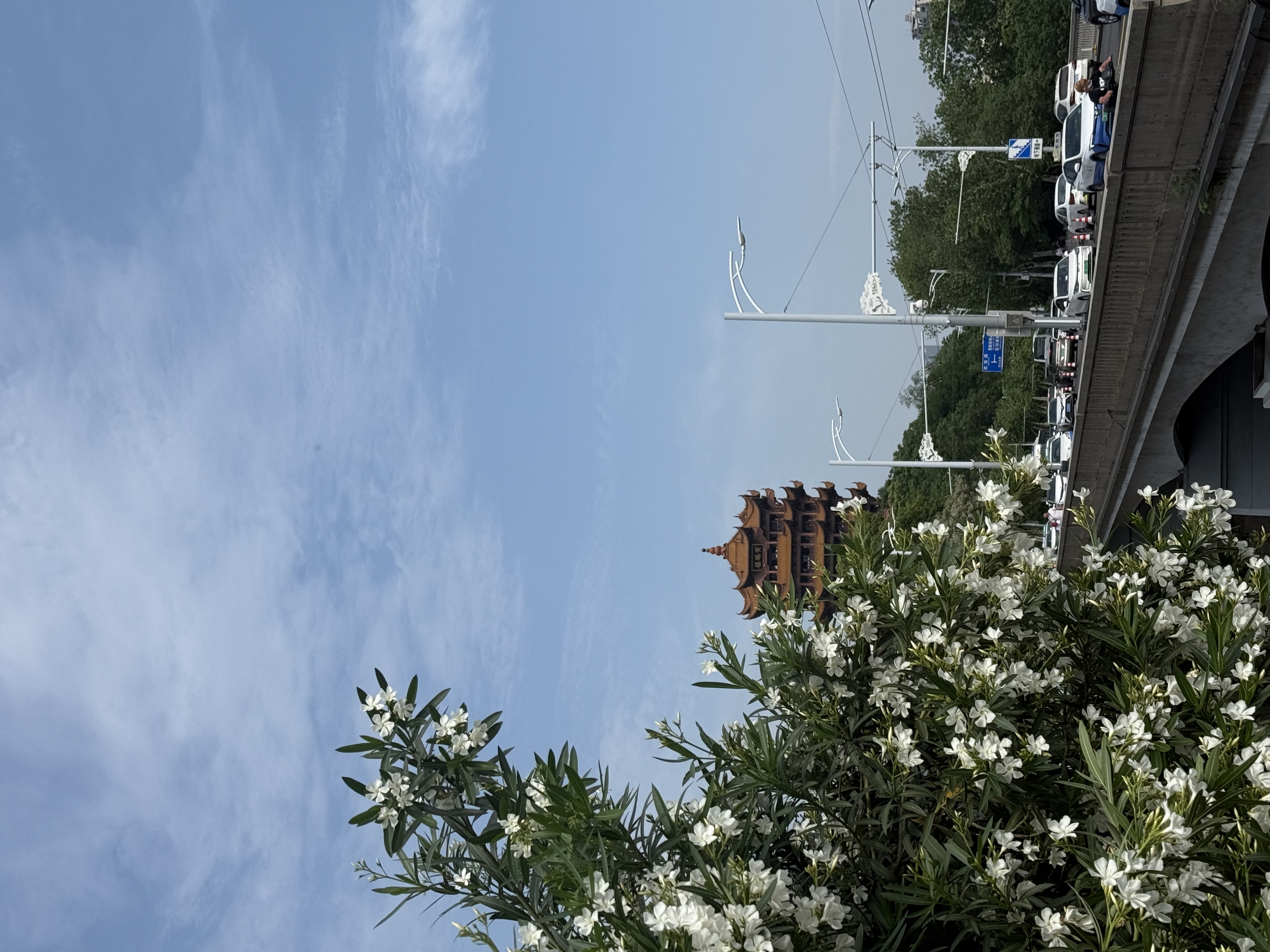 去往武汉长江大桥方向右侧 地下通道上口