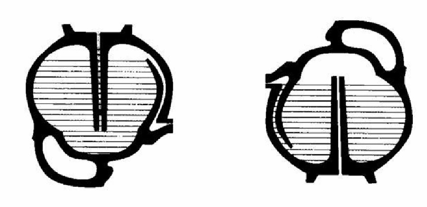 青釉提梁倒灌壶 原理